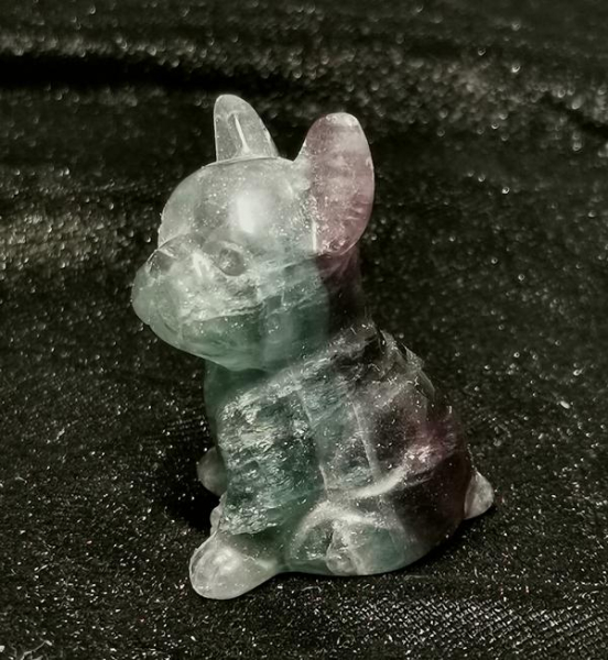 Fluorit Hund